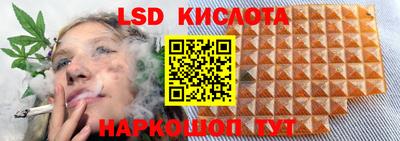 МДПВ Гусев