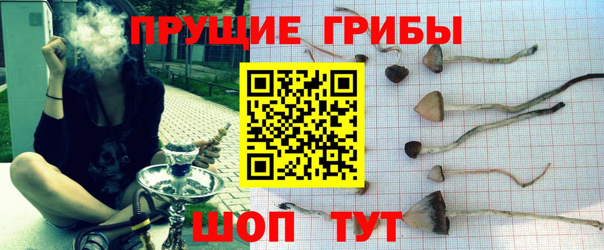 Галлюциногенные грибы Cubensis  Вход с VPN  Псилоцибиновые грибы Psilocybe  Павлово 